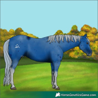Horse Color:ERROR: UNKNOWN ANOMALY
