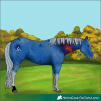 Horse Color:ERROR: UNKNOWN ANOMALY