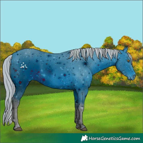 Horse Color:ERROR: UNKNOWN ANOMALY