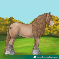 Horse Color:Black Pearl 