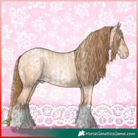 Horse Color:Buckskin Roan Pearl and Bay Roan Pearl