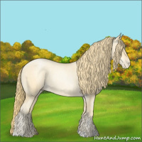 Horse Color:Buckskin Roan Pearl and Buckskin Roan Pearl