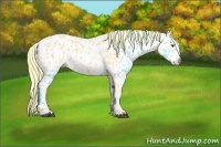 Horse Color:Painted Palomino Near Leopard