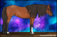 Horse Color:Bay Tobiano 