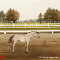 Horse Color:Red Dun Roan 