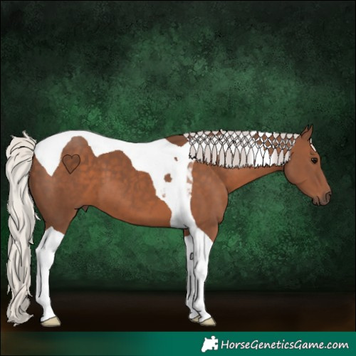 Horse Color:Silver Black Tobiano 