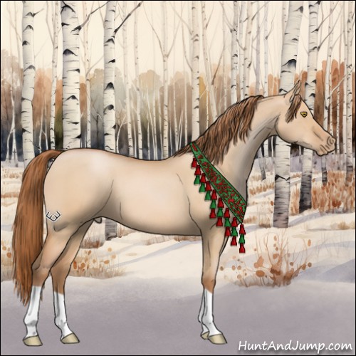 Horse Color:Bay Pearl Dun