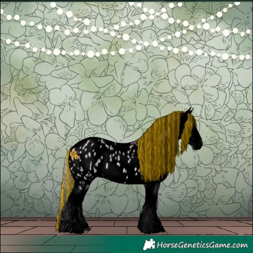 Horse Color:Void Platinum Painted Silver Buckskin Ice Appaloosa 