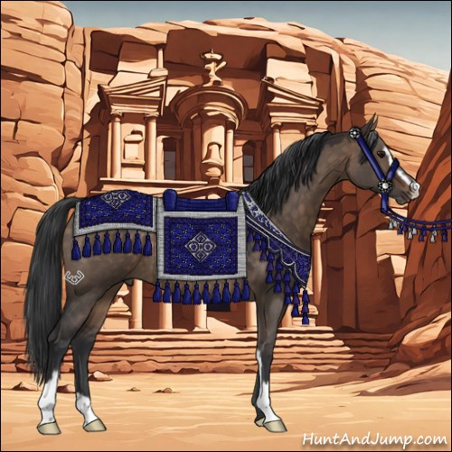 Horse Color:Bay Dun Sabino