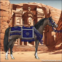 Horse Color:Bay Dun Sabino 