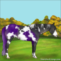 Horse Color:White Spotted Black Frame 