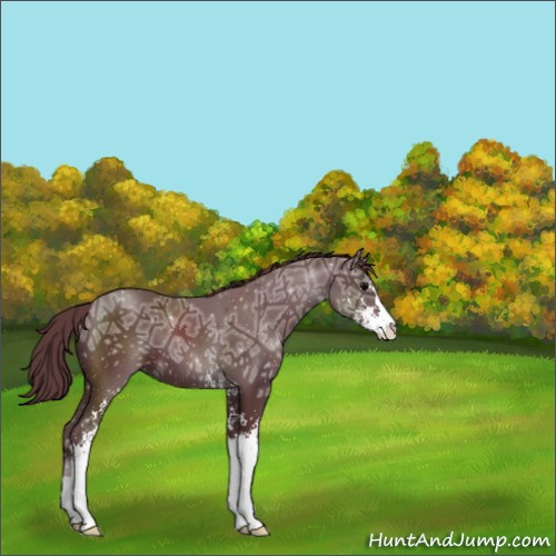 Horse Color:Chocolate Black Ice Sabino