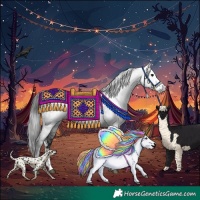 Horse Color:Gray Black Sabino Rabicano 