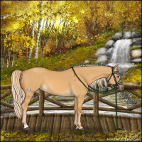 Horse Color:Palomino Dun 