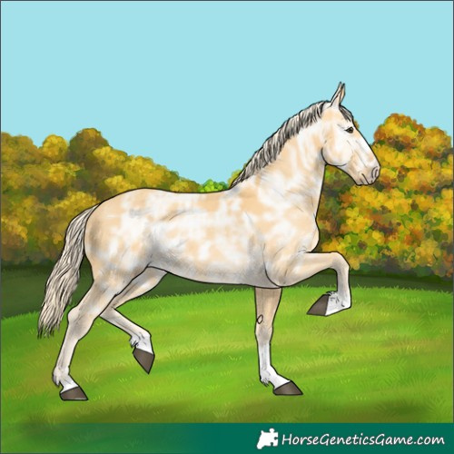 Horse Color:Palomino Ice 