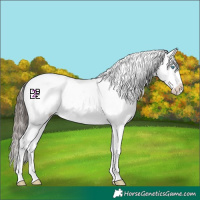 Horse Color:Midnight Blue Onyx Ice Sabino Splash Varnish 