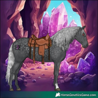 Horse Color:Silver Black Chinchilla 