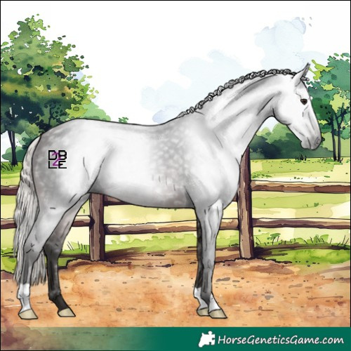 Horse Color:Gray Silver Brown