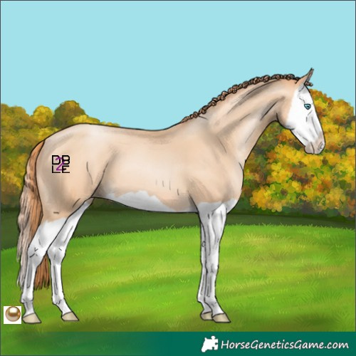 Horse Color:Amber Champagne Pearl Splash