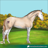 Horse Color:Amber Champagne Pearl Splash