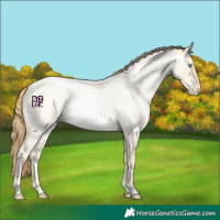 Horse Color:Classic Cream Champagne Roan Pearl Dun