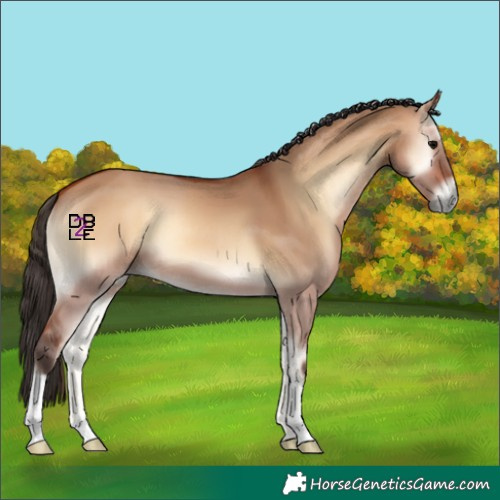 Horse Color:Bay Onyx