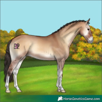 Horse Color:Bay Onyx 