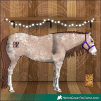Horse Color:Chocolate Classic Champagne Ice 