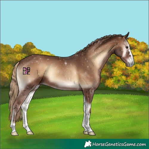 Horse Color:Red Onyx 