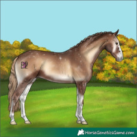 Horse Color:Red Onyx 