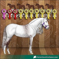 Horse Color:Gray Chocolate Black