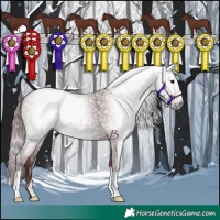 Horse Color:Gray Chocolate Black