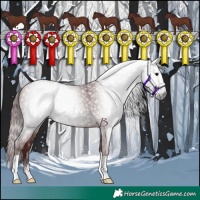 Horse Color:Gray Chocolate Black