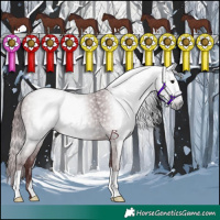 Horse Color:Gray Chocolate Black