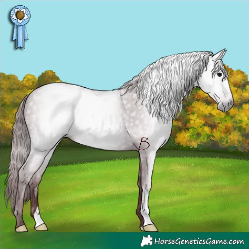 Horse Color:Gray Chocolate Black 