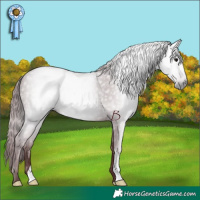 Horse Color:Gray Chocolate Black
