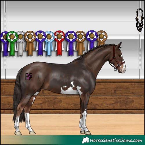 Horse Color:Liver Chestnut  and Liver Chestnut 