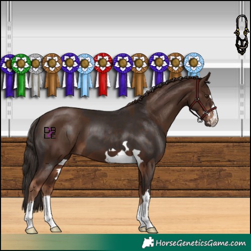 Horse Color:Liver Chestnut  and Liver Chestnut 