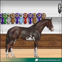 Horse Color:Liver Chestnut and Liver Chestnut