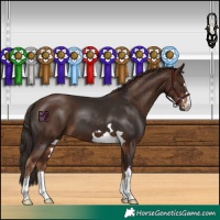 Horse Color:Liver Chestnut  and Liver Chestnut 