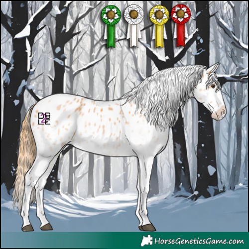 Horse Color:White Spotted Chestnut Appaloosa 