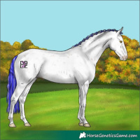 Horse Color:Platinum Painted Gold Champagne Sabino