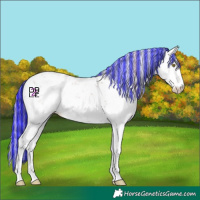 Horse Color:Platinum Painted Gold Champagne Sabino