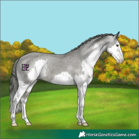 Horse Color:Platinum Liver Chestnut Splash Varnish 