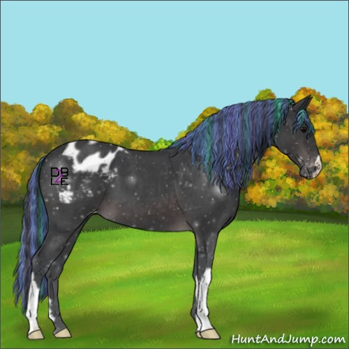 Horse Color:Platinum Painted Brown Roan Appaloosa 