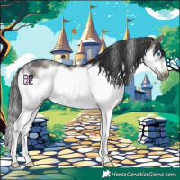 Horse Color:Grullo Sabino Splash Frame Rabicano 