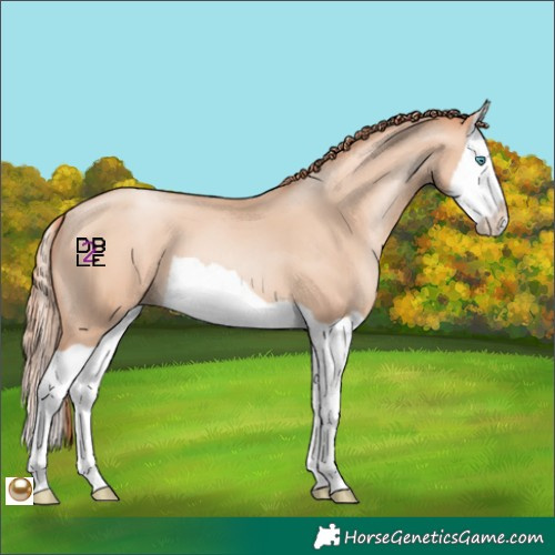 Horse Color:Sable Champagne Pearl Splash