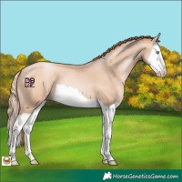 Horse Color:Sable Champagne Pearl Splash 