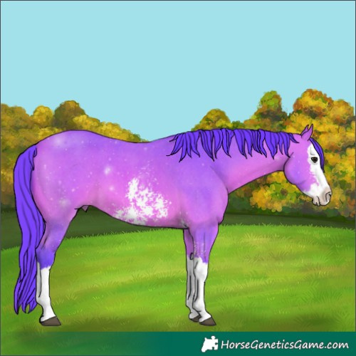 Horse Color:Watercolor Bay Sabino Splash 