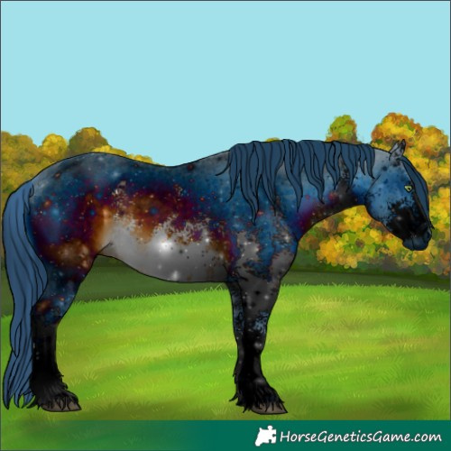 Horse Color:ERROR: UNKNOWN ANOMALY